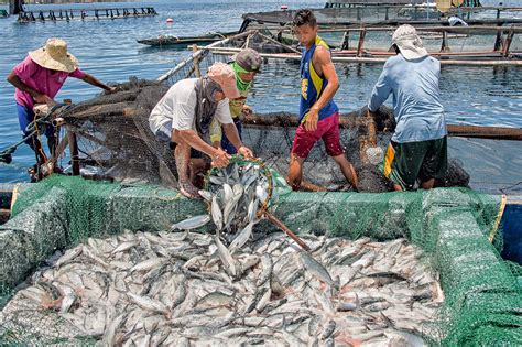 Fishery industries .